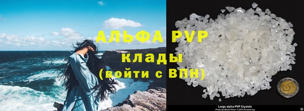 apvp Балахна