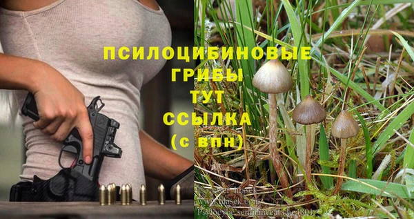 гашик Баксан